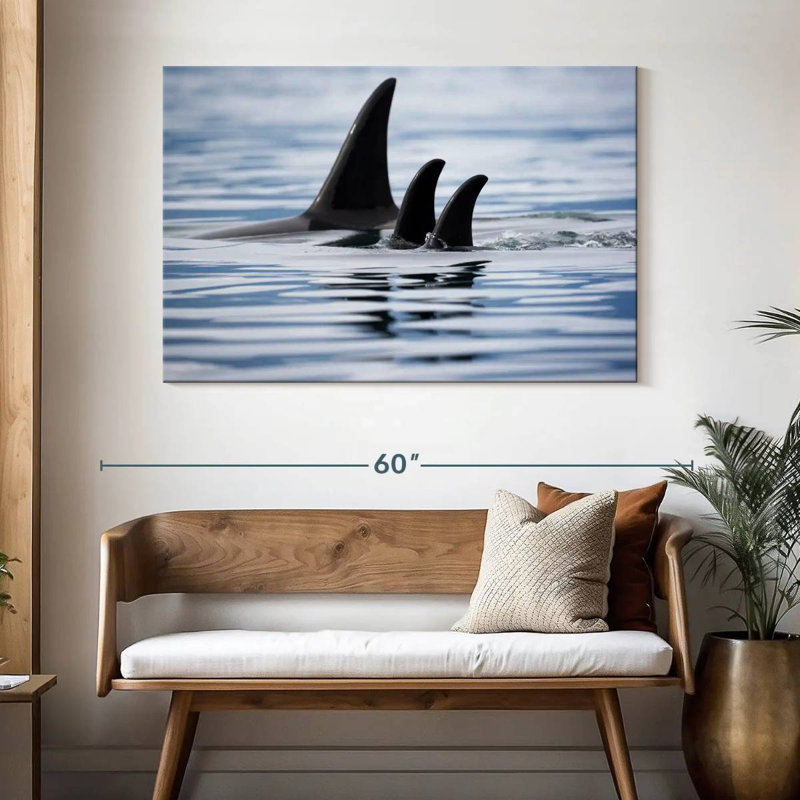 Killer Whale Fins, H 32 po x l 48 po