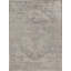 Windsom Oriental Area Rug in Light Gray