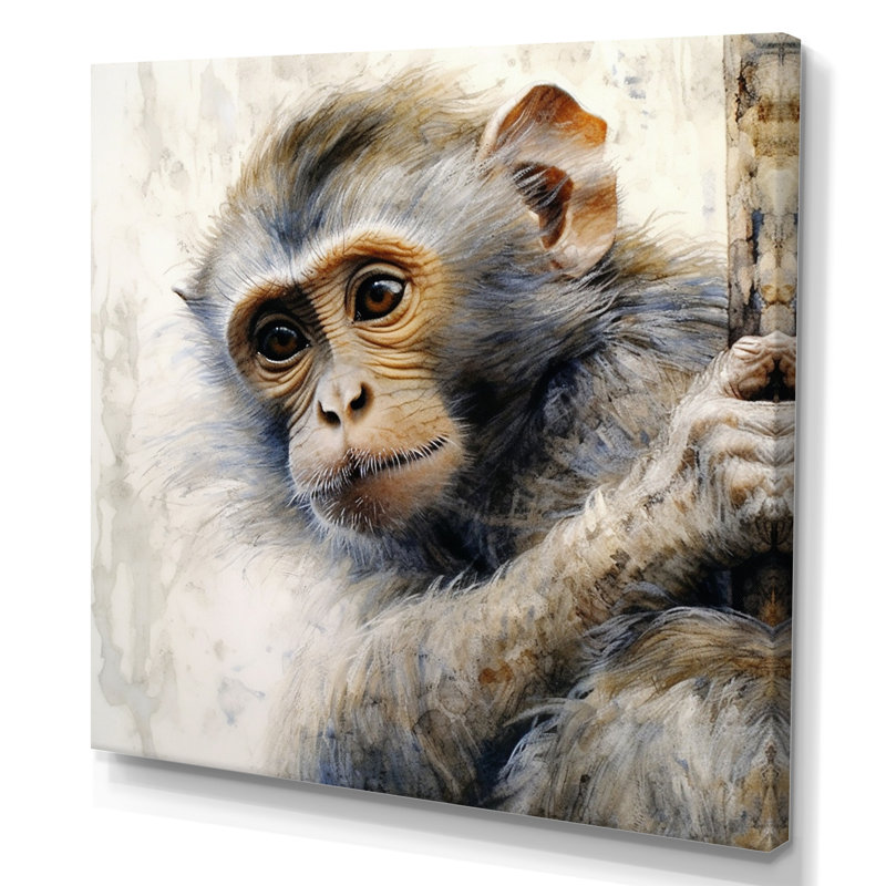Wild Monkey II - animaux, impressions sur toile, Toile tendue, 24" H x 24" W