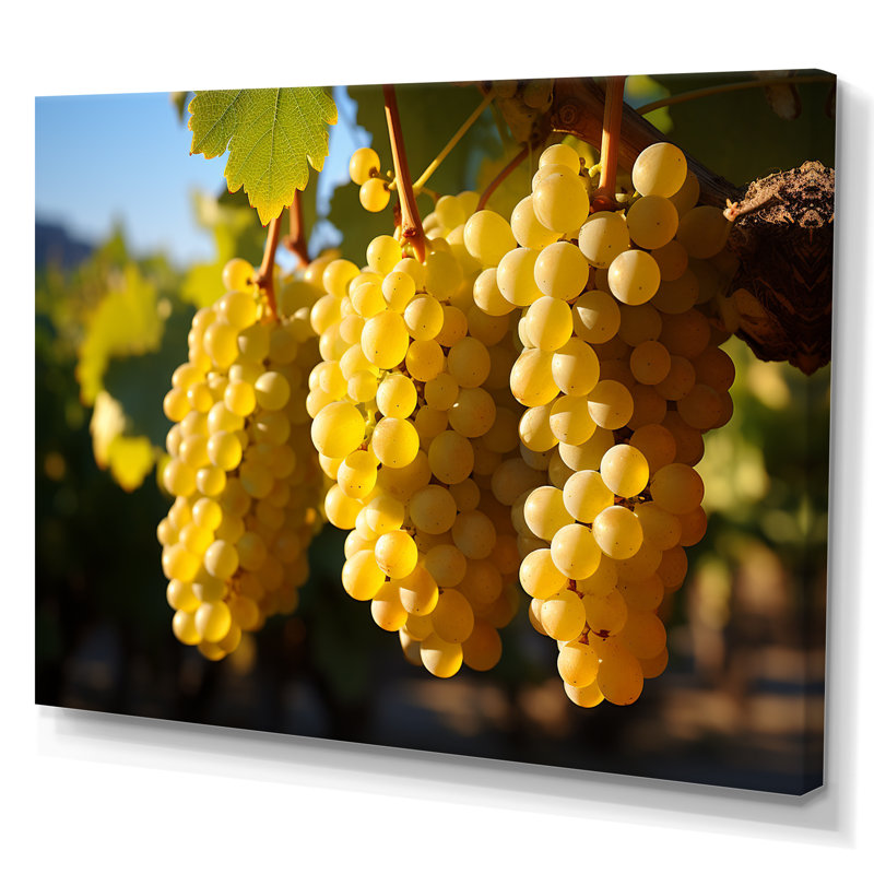 «Golden Grapes Vineyard II», reproduction sur toile, H 34 po x l 44 po x P 1,5 po, Toile tendue