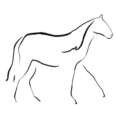 " Contour Horse "