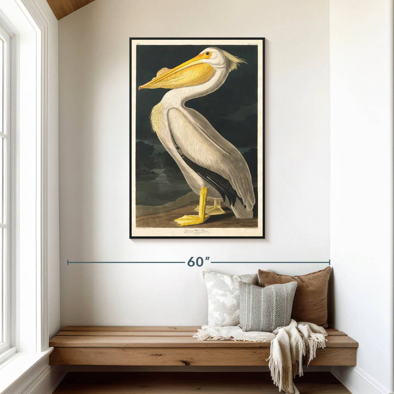 Pélican d'Amérique des oiseaux d'Amérique, 31 po x 46 po, Cadre flottant noir