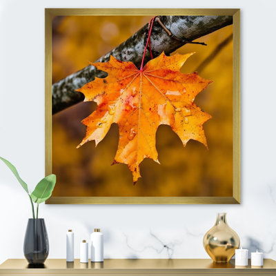 «Canadian Mapple Tree Leaves II», reproduction sur toile