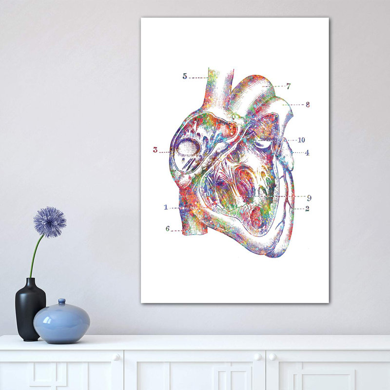 «Heart Cross Section» - Impression, Toile tendue, H 40 po x l 26 po x P 1,5 po