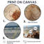 «Beach Photo Seashell Symphony I», reproduction d'art sur toile-324788015-324788014