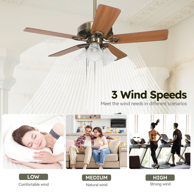 Ventilateurs de plafond classiques de 42 pouces avec lumières