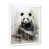 White Picture Framed