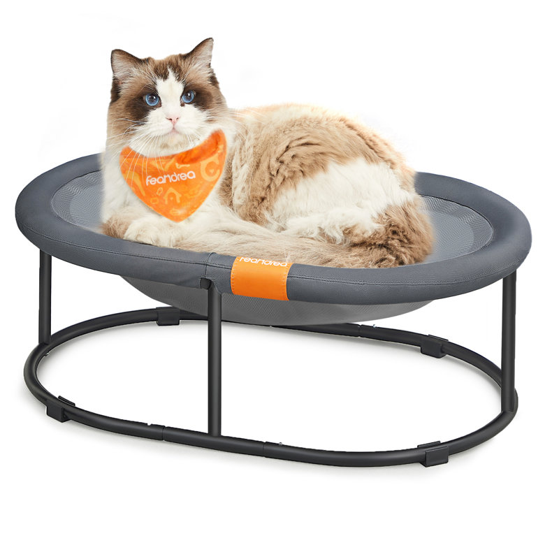 Elevated Pet Bed, 20cm H x 52cm W x 42cm D