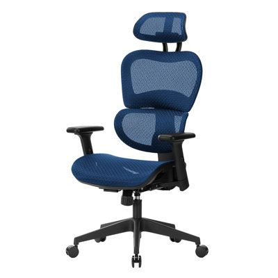 Nouhaus Ergo3dL Chaises de bureau à domicile Chaise de bureau ergonomique à haut dossier avec roulettes et roulettes