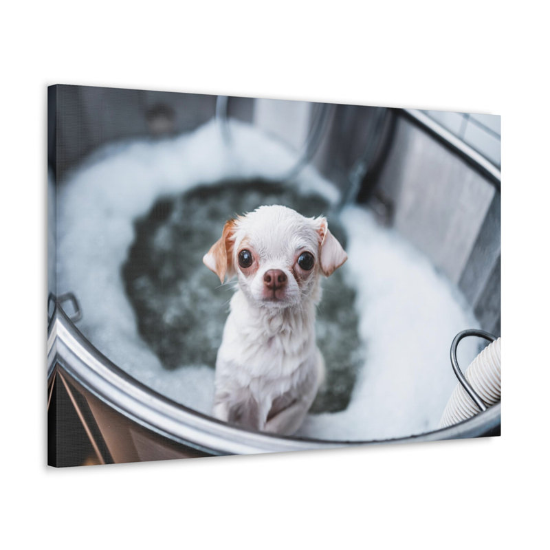 «Cute Chihuahua Bathee», art mural sur toile