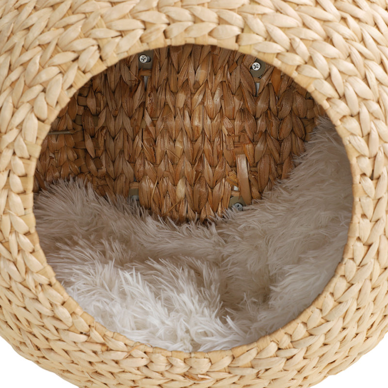 Tucker Murphy Pet™ Wall Mounted Cat Condo with Washable Cushion, Nature Wood