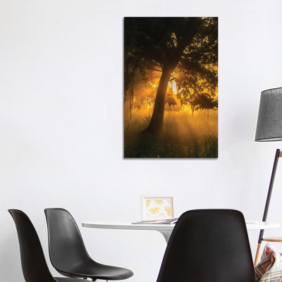 USA, Louisiana, Lake Martin. Foggy Sunrise On Trees. by Jaynes Gallery - Wrapped Canvas Gallery-Wrapped Canvas Giclée