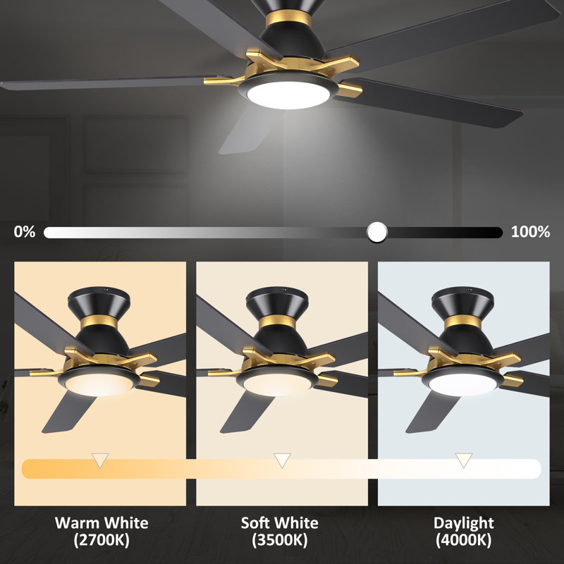 52" Smart Ceiling Fan with Light, Black, Black