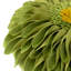  Housse et insert de coussin décoratif en tournesol Appliqued-717990373-736472922