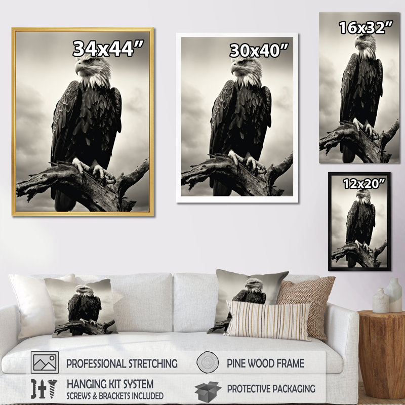 " Powerful Bold Eagle I ", 44" H x 34" W x 1.5" D, Silver Single Picture Framed