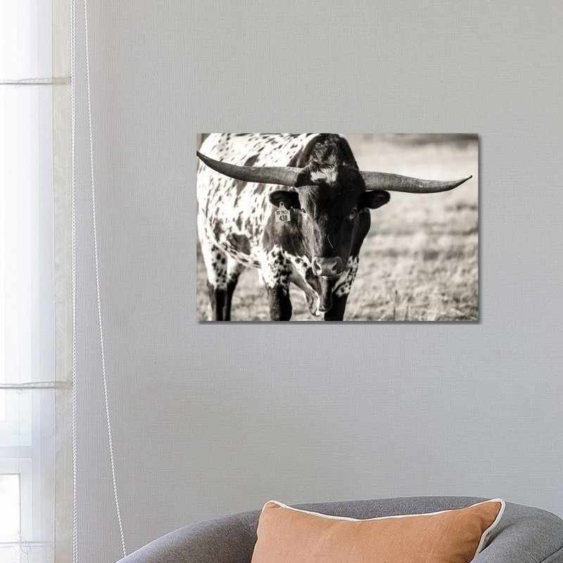 Longhorn Portrait by Tyler Stockton - Wrapped Canvas Print, 66.04 cm H x 45.72 cm W x 1.91 cm D