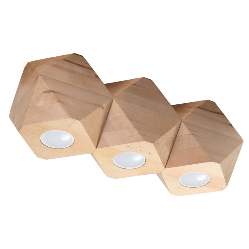Aryaveer Flush Mount