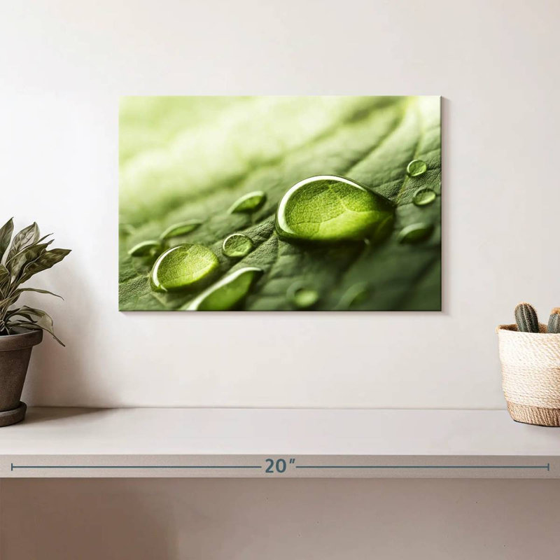 Harnek Dewdrops sur feuille verte, H 8 po x l 12 po