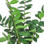 Zamiifolia ZZ artificiel en pot