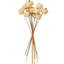 Natural Botanicals Hand Crafted Pumpkins-1824697840