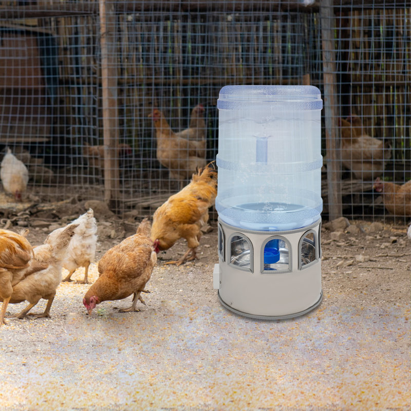 Bol à eau chauffé pour poulets
