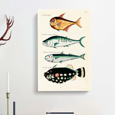 East Indies Fish Illustrations Fol. 15 by Henry Alken - Wrapped Canvas Painting