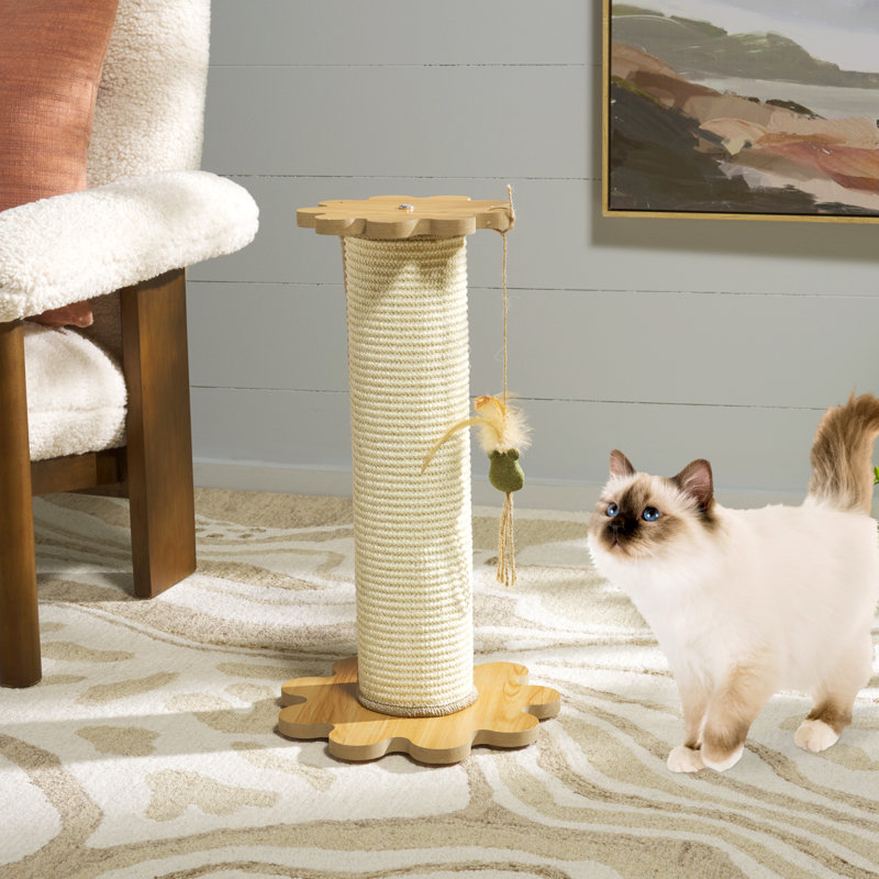 Jouet pour chat