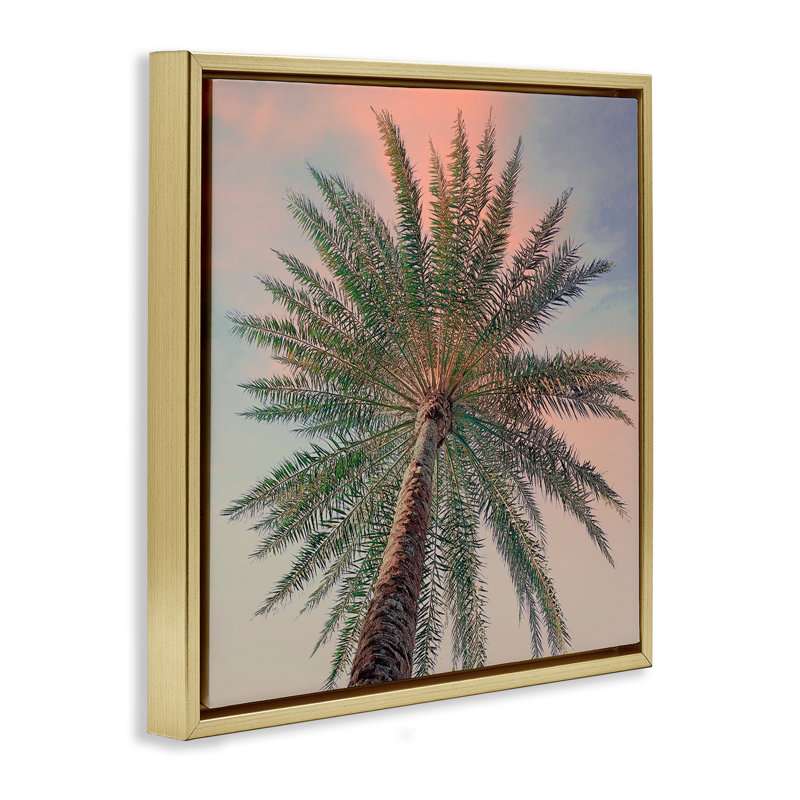 Cadre flottant Palm Up Against Sunset, design par Susan Jill, H 25 po x l 25 po, Cadre flottant métallique doré