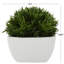 Plante artificielle en pot Baywood 6,65 po