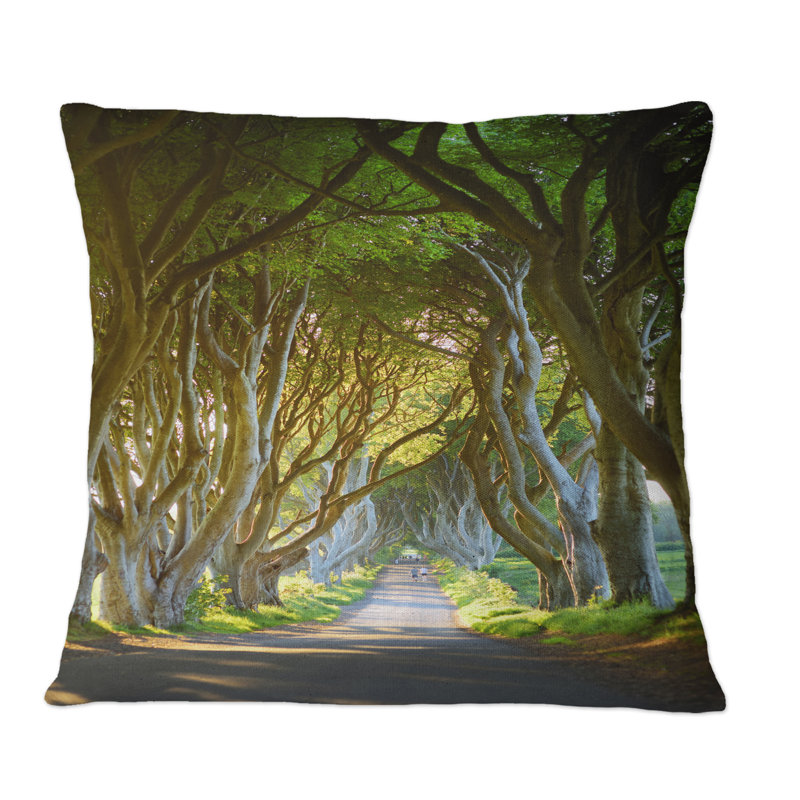 Coussin Avenue of Beech Trees - Lake House, 16 po x 16 po