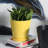 Pansy Ceramic Pot Planter-88134234