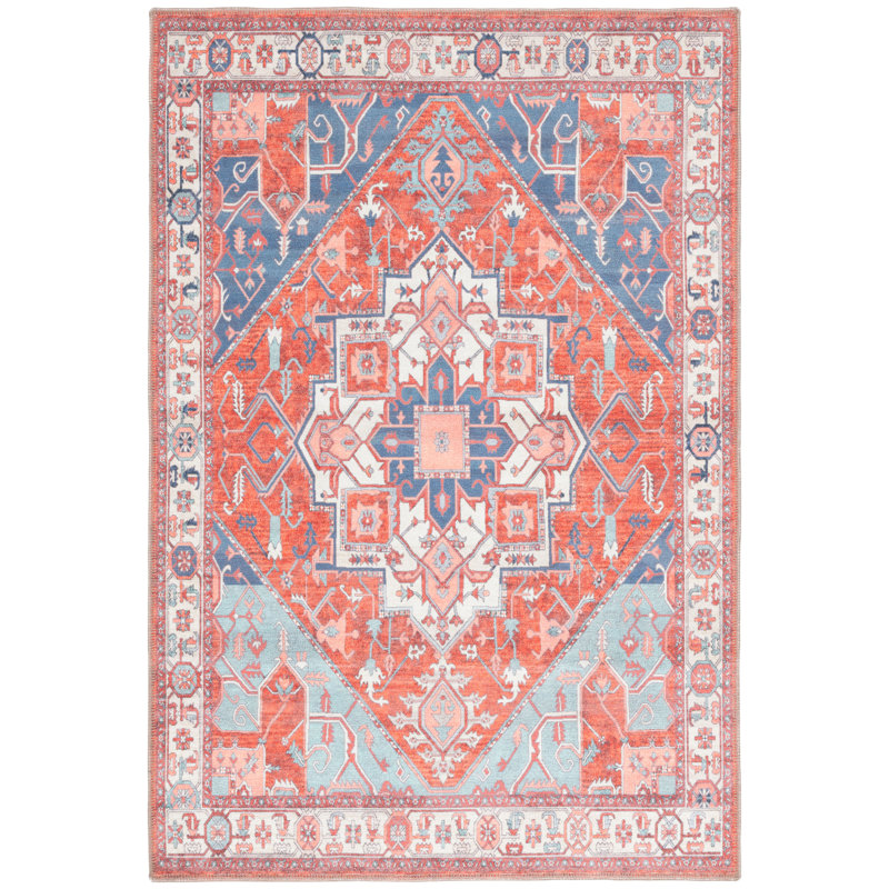 Wassay Cotton/Chenille Machine Washable Southwestern Rug in Rust/Blue, Rectangle 4' x 6'