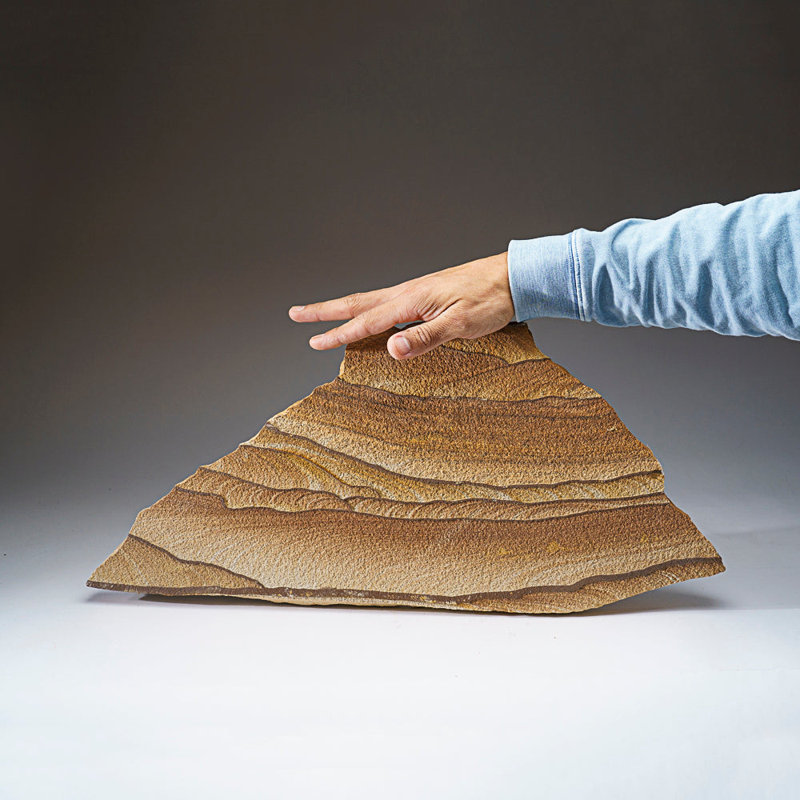 Genuine Sandstone Slice From Arizona (9.5 Lbs)