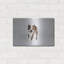 "Kevin" par Susan Sabo-556851842