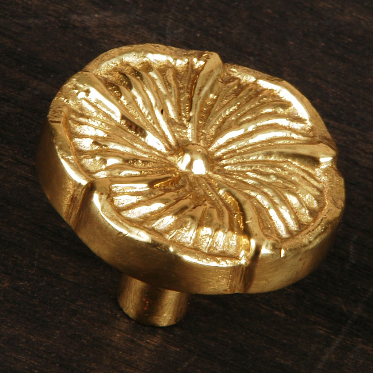 CK Series Daisy Flower Cabinet Knob, Polished Brass