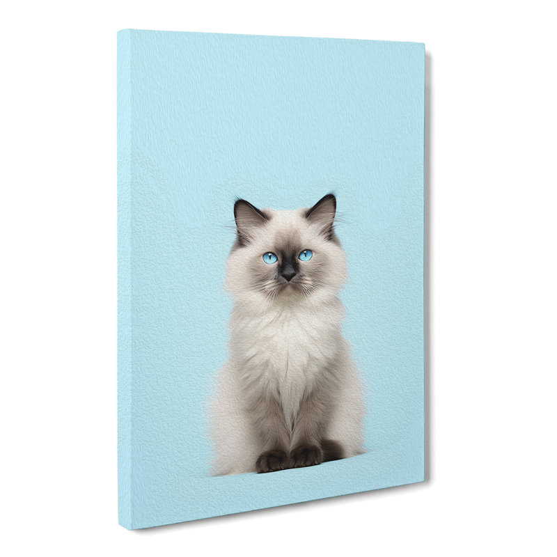Ragdoll Cat Minimalism - Wrapped Canvas, 60cm H x 40cm W x 3cm D