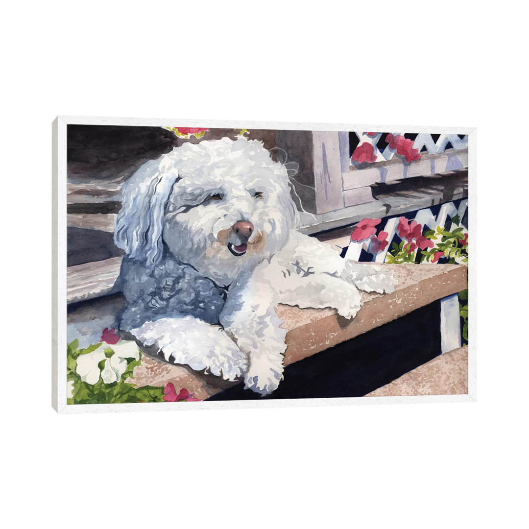 Bichon Frise Portrait by Rachel Parker - Painting on Canvas