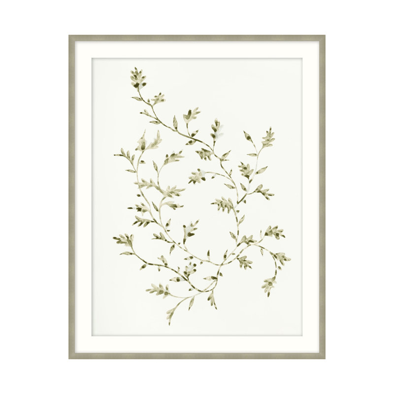 Leafy Vines 2 Print by Studio L57 Affinity, 45.75" H x 35.75" W 