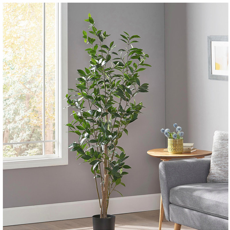 150Cm Artificial Laurel Tree, 64" H x 24" W