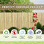 Panneau de clôture en bambou blanc naturel, clôture d'intimité pour le jardin, le patio et la cour-122425615-122425611