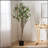 180CM ARTIFICIAL MILAN LEAF BONSAI-1541953067