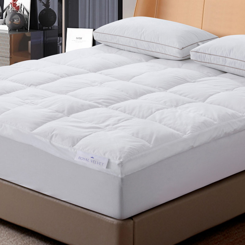 Surmatelas en plumes sans matelas 5 po Belchers Alwyn Home, Simple