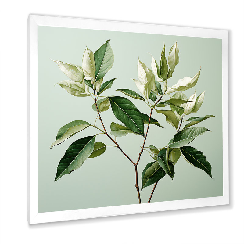 Menthe fraîche, minimalisme, feuilles, sérénité, H 24 po x l 24 po x P 1 po, Cadre simple blanc