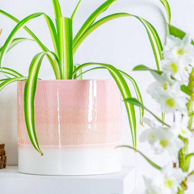 Nicola Spring - Reactive Glaze Plant Pot