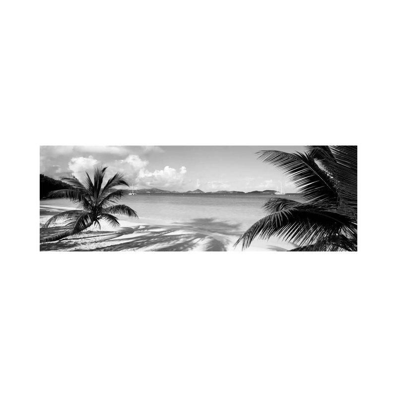 Palmiers sur la plage, Îles Vierges américaines, États-Unis - Giclée sur toile tendue avec châssis, H 24 po x l 72 po