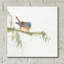 Finch par Chris Paschke - impression sans cadre-749203416-760254473