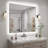 Molly Frameless Anti-Fog 3 Colors Dimmable LED Backlit Wall Bathroom Vanity Mirror-1090160598