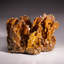 Wulfenite