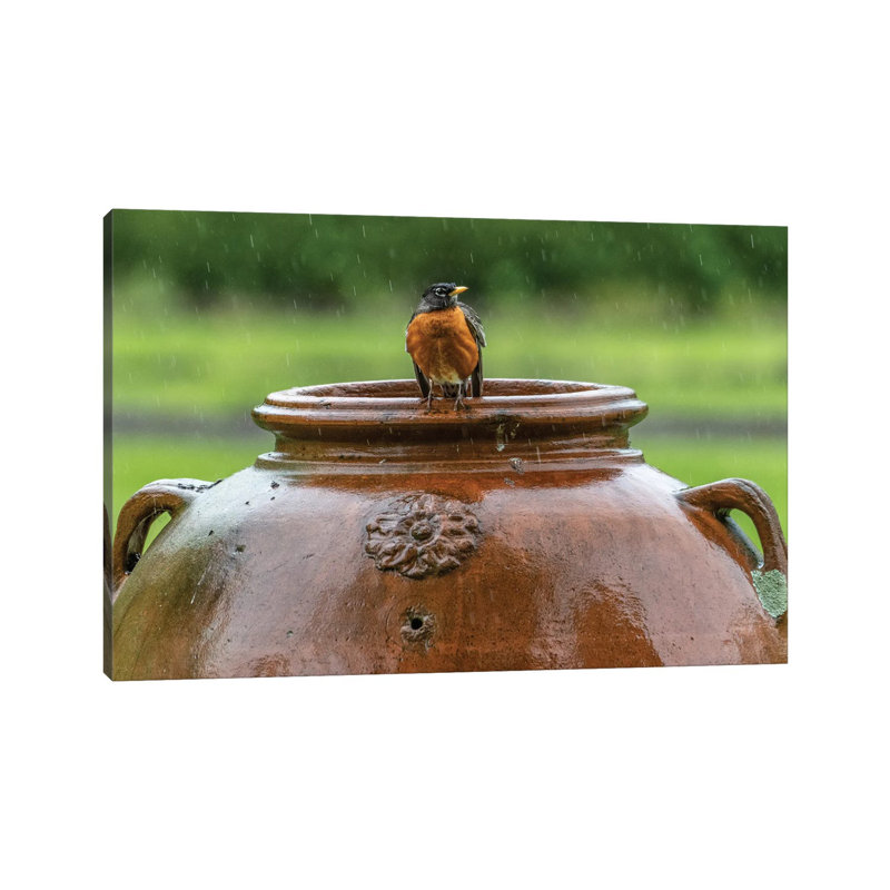 Robin on a Pot 1 Piece Wall Art on Canvas, 66.04 cm H x 45.72 cm W x 3.175 cm D, Wrapped Canvas