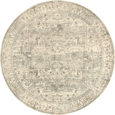 Brielle SpinClean Machine Washable Vintage Medallion Area Rug